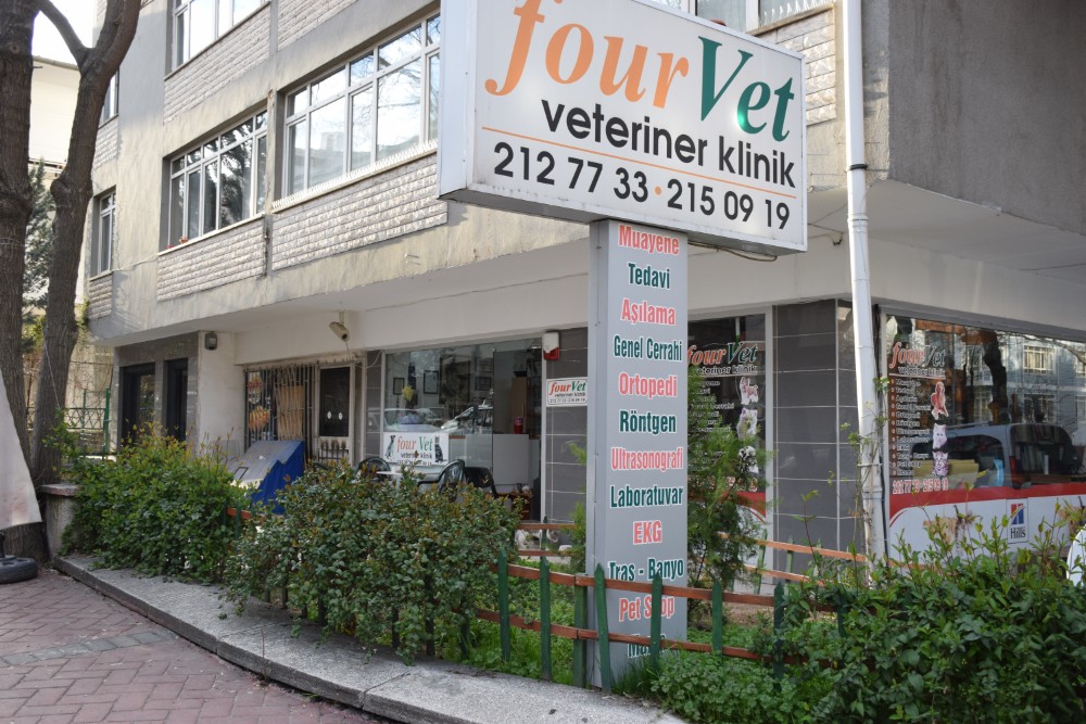 FOUR VET ÇANKAYA BEŞEVLER BAHÇELİEVLER VETERİNER KLİNİĞİ